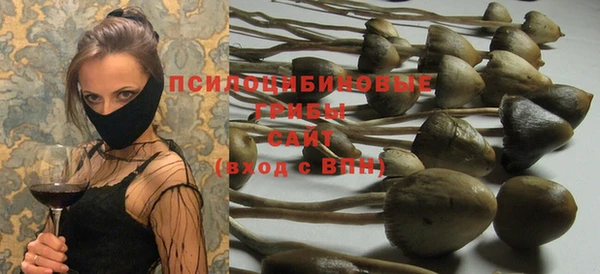 дживик Алексеевка