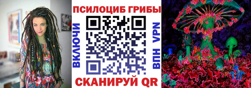 мега ТОР  Каменногорск  Галлюциногенные грибы Psilocybe  дарнет шоп 