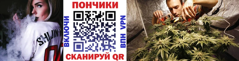 Бошки марихуана THC 21%  Каменногорск 